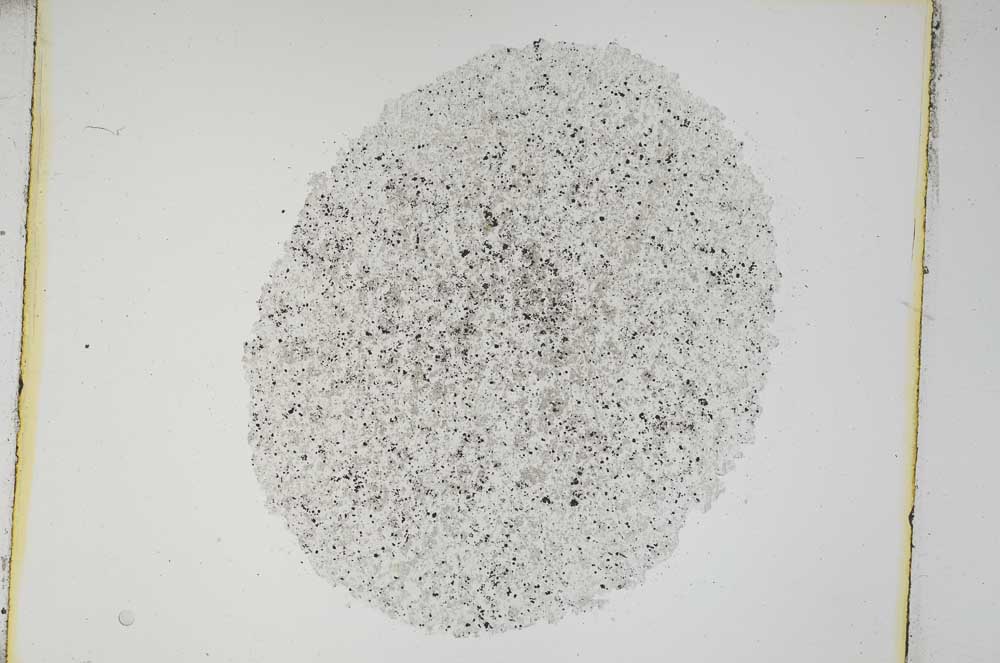 Plane Polarized, S4182