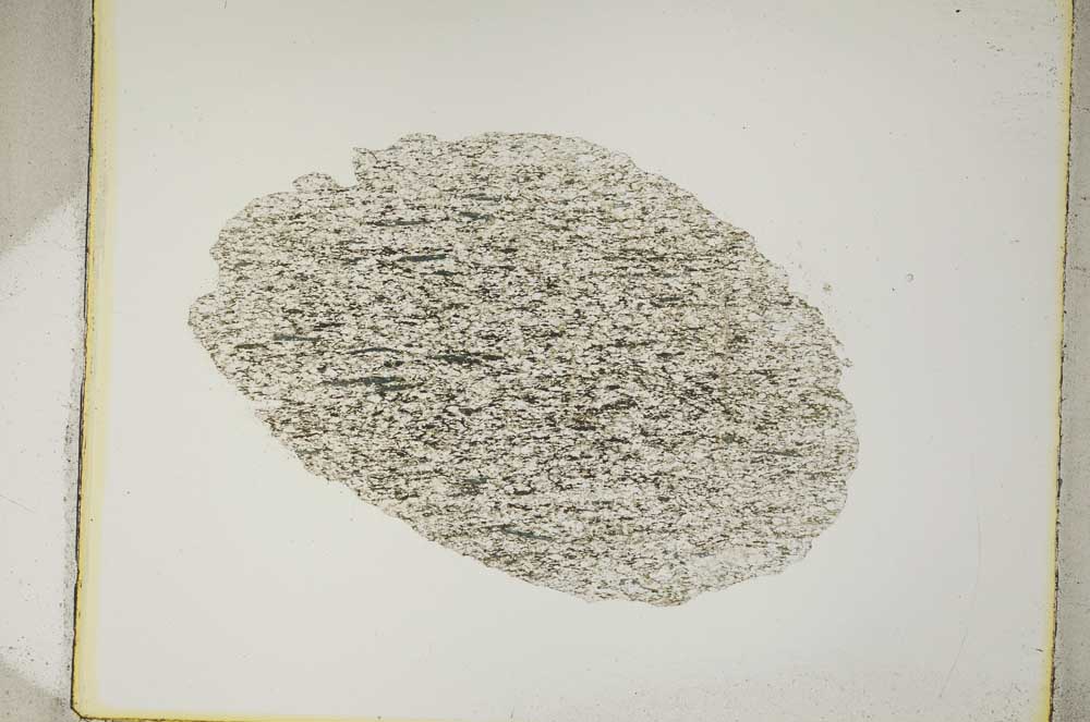 Plane Polarized, S4189