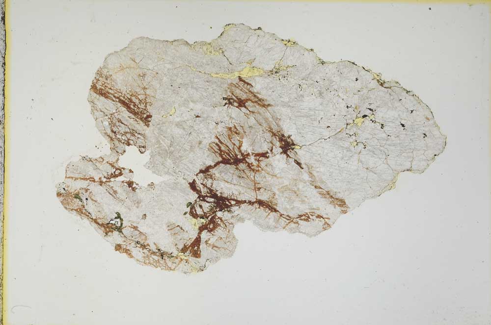 Plane Polarized, S4198