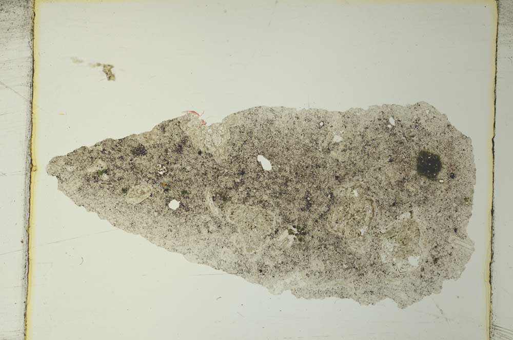 Plane Polarized, S4206