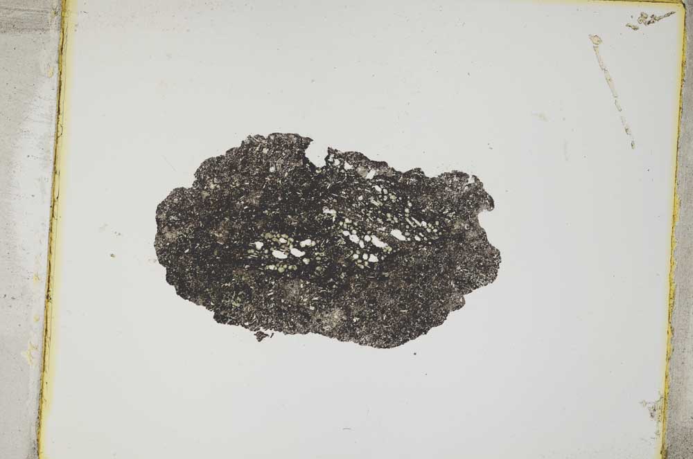 Plane Polarized, S4219/a