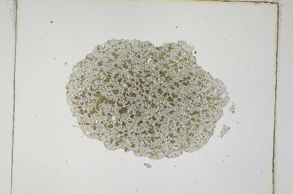 Plane Polarized, S4220