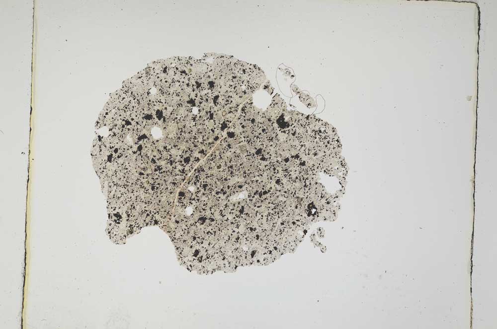 Plane Polarized, S4222