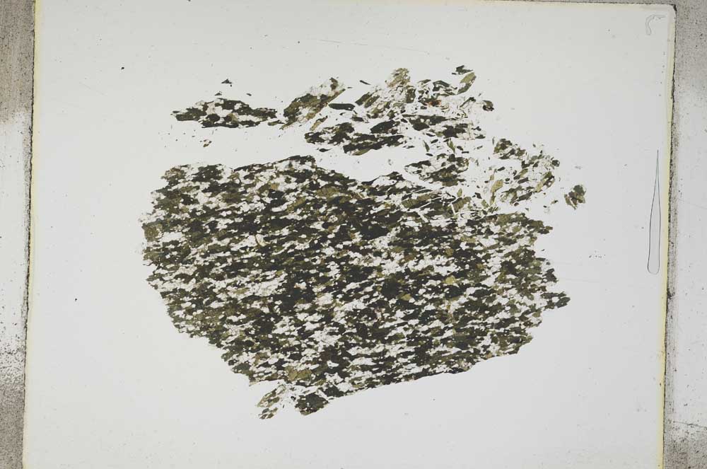 Plane Polarized, S4224