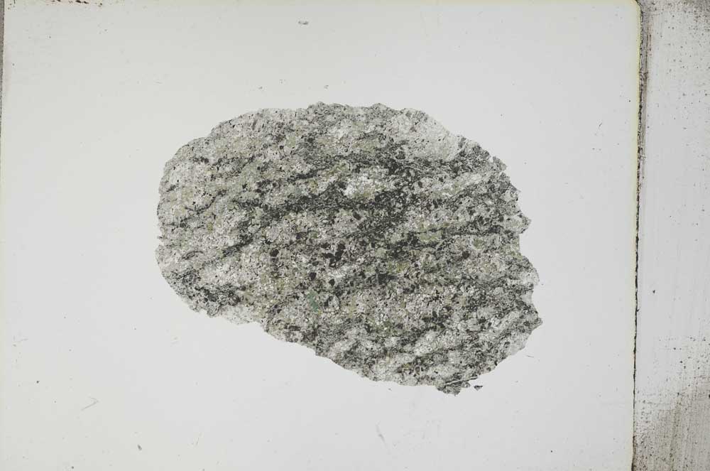 Plane Polarized, S4231