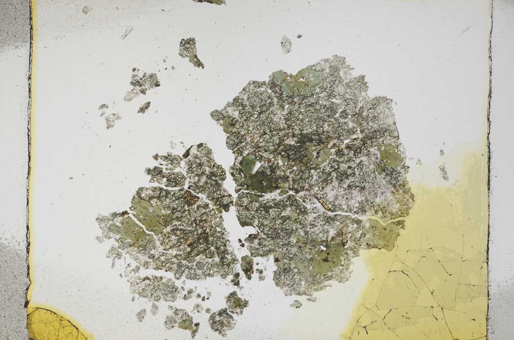 Plane Polarized, S4251