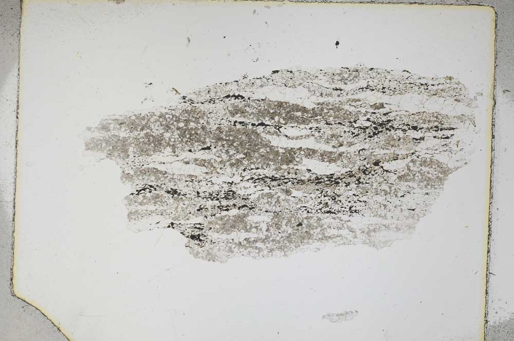 Plane Polarized, S4252