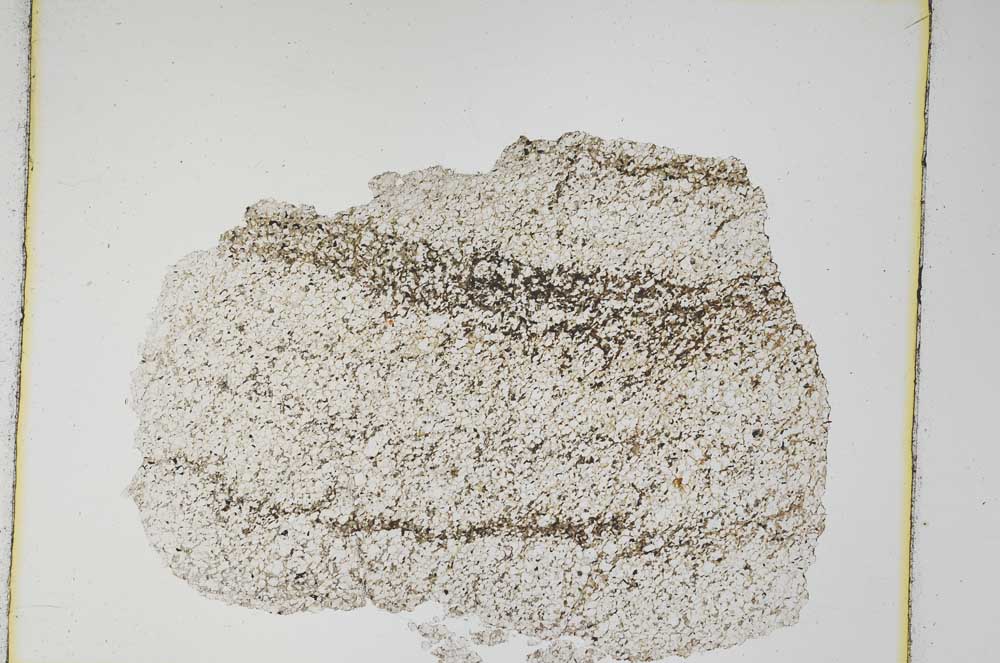 Plane Polarized, S4253