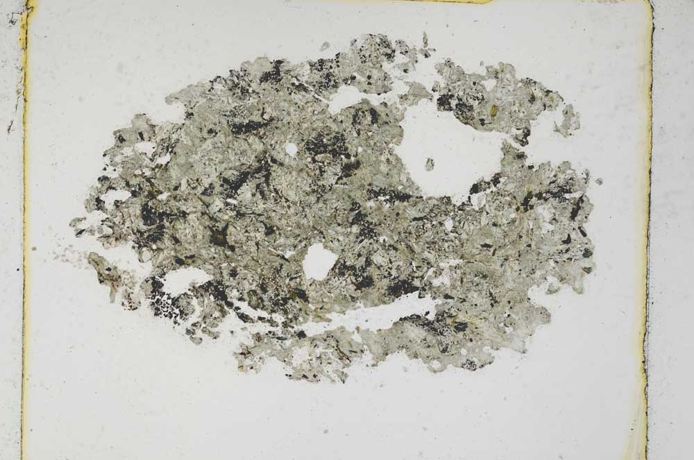 Plane Polarized, S4255