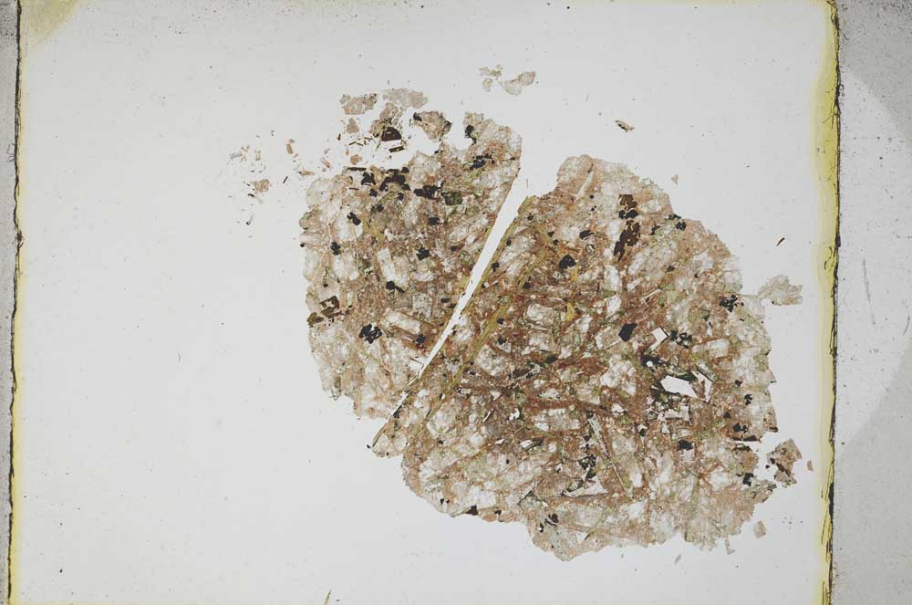 Plane Polarized, S4267