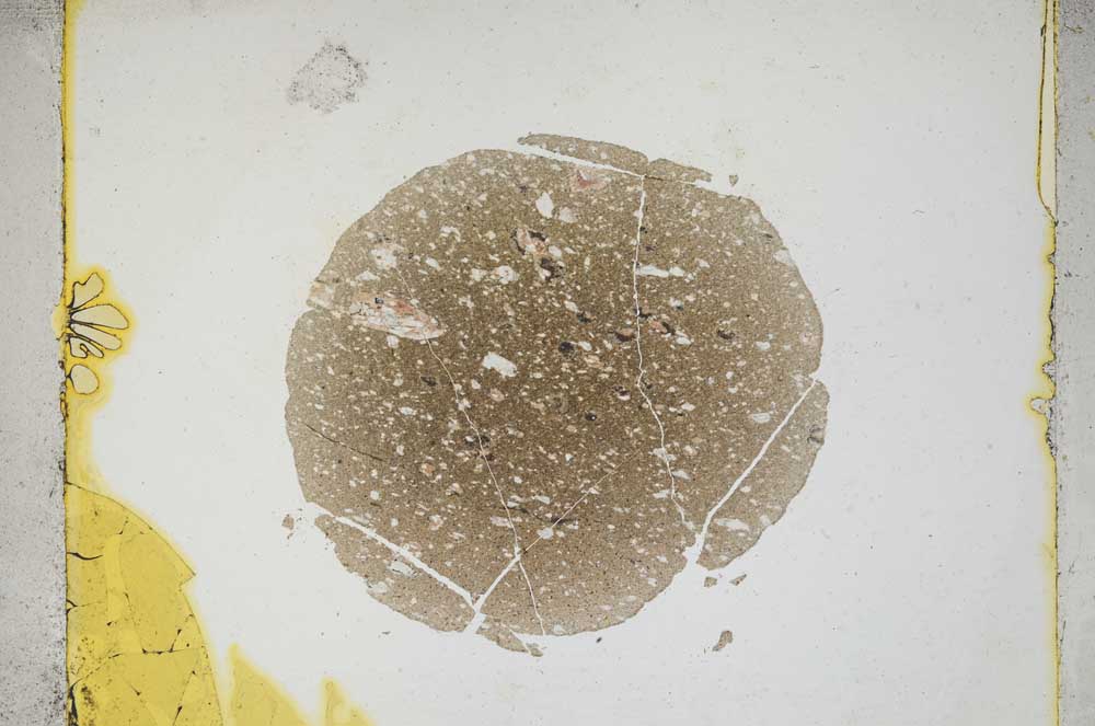 Plane Polarized, S4270