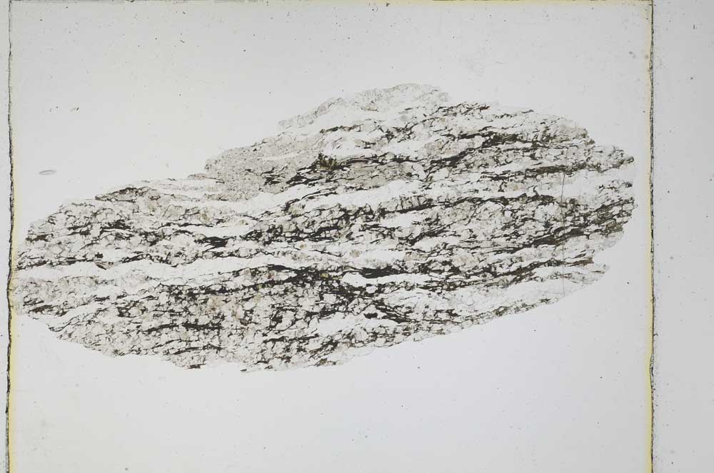 Plane Polarized, S4271