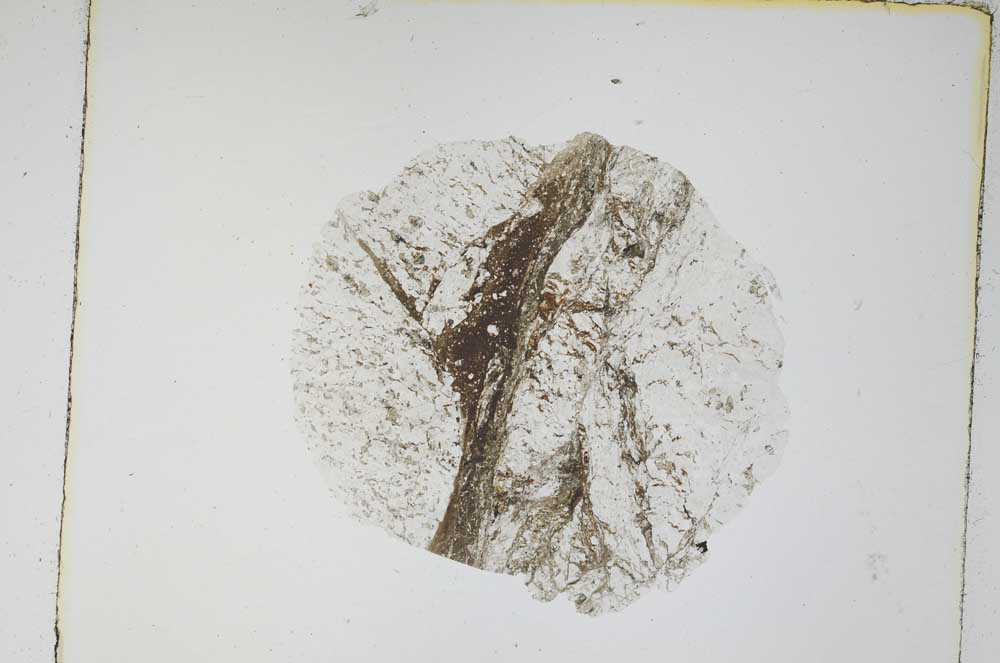 Plane Polarized, S4272/A