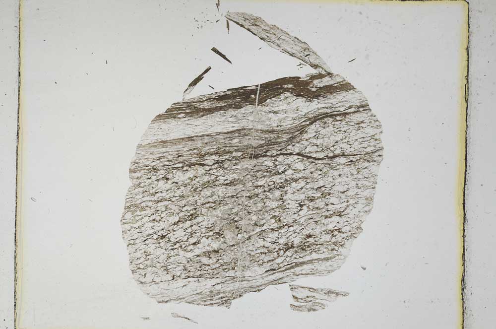 Plane Polarized, S4278