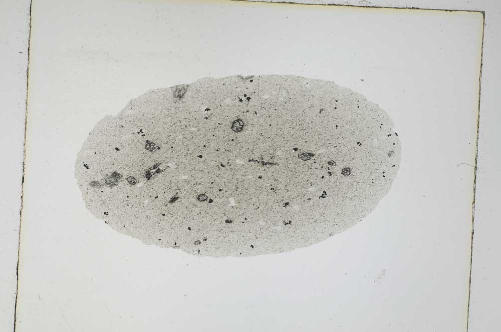 Plane Polarized, S4295