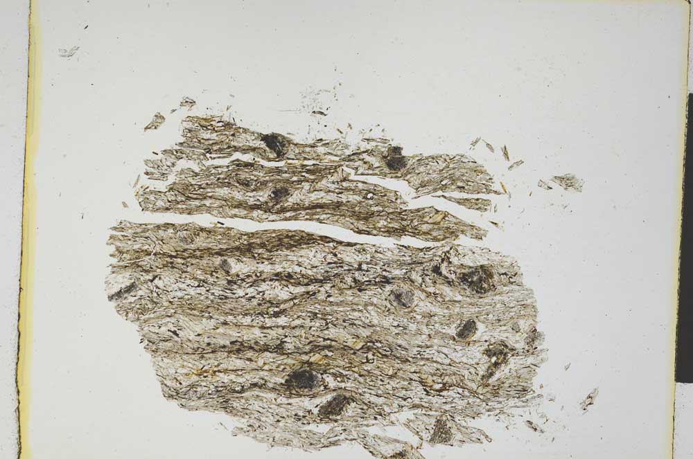 Plane Polarized, S4321