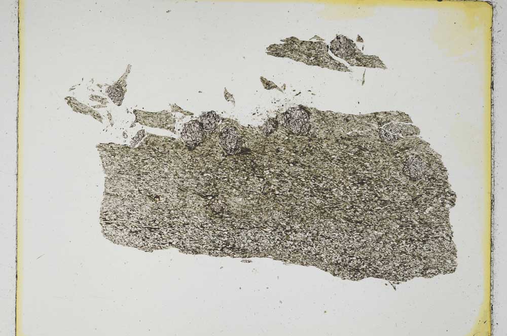 Plane Polarized, S4324