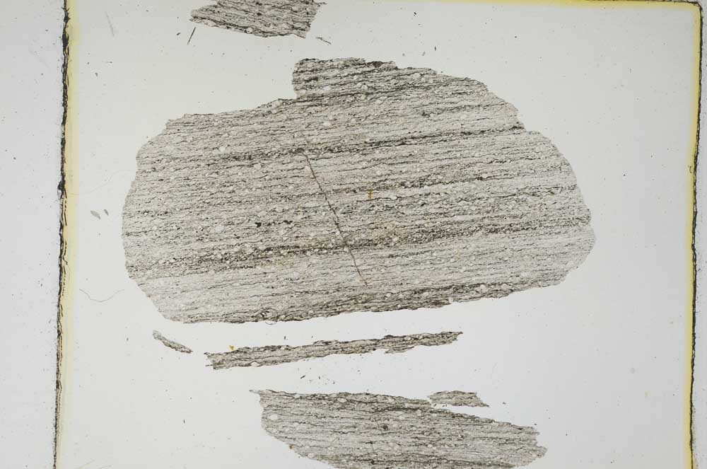 Plane Polarized, S4335