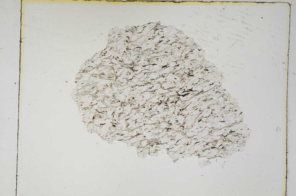 Plane Polarized, S4341