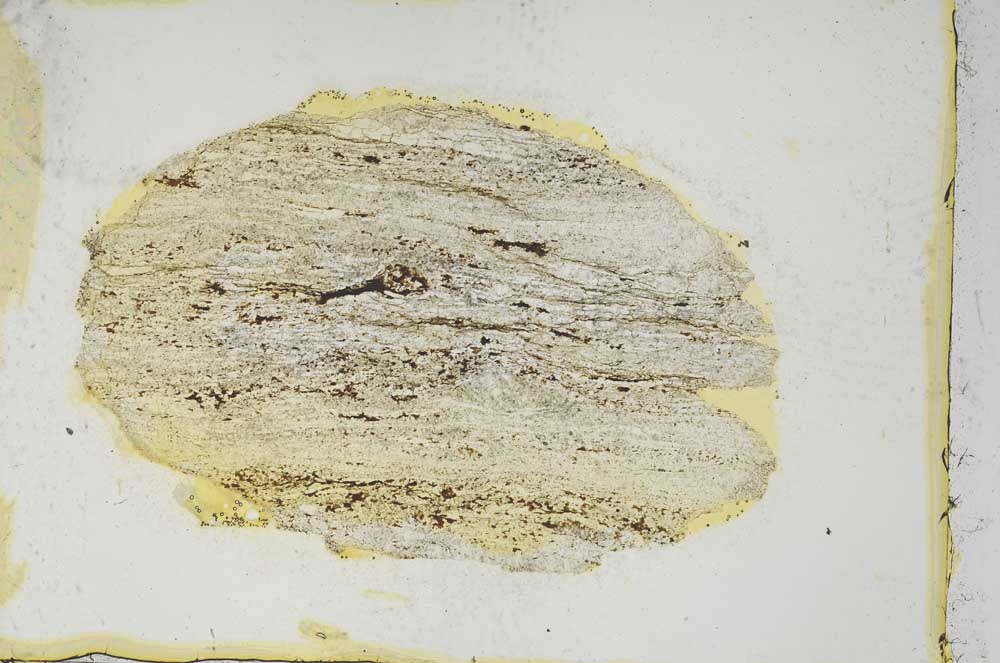 Plane Polarized, S4343