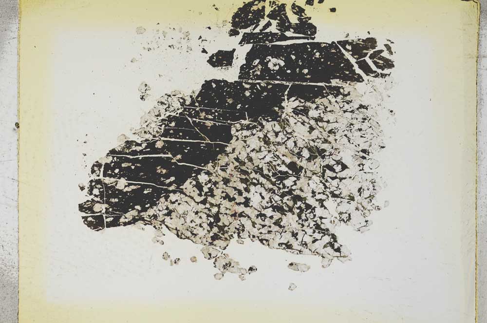 Plane Polarized, S4347/a