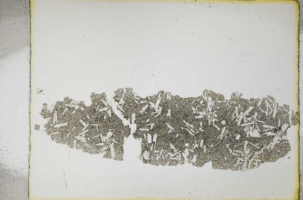 Plane Polarized, S4353