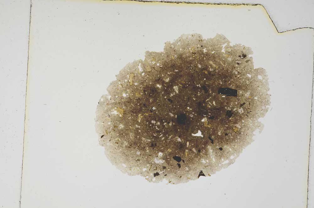 Plane Polarized, S4354