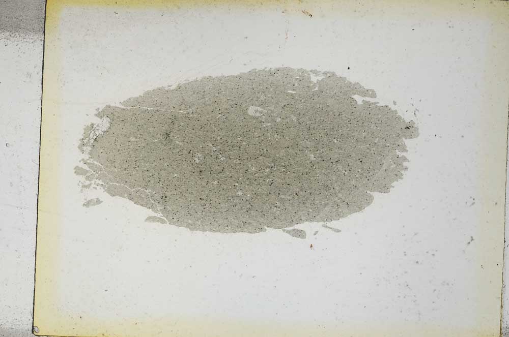 Plane Polarized, S4363