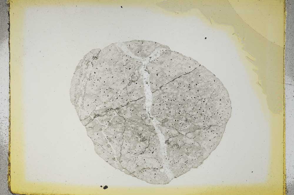 Plane Polarized, S4364