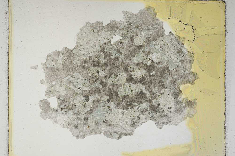 Plane Polarized, S4368