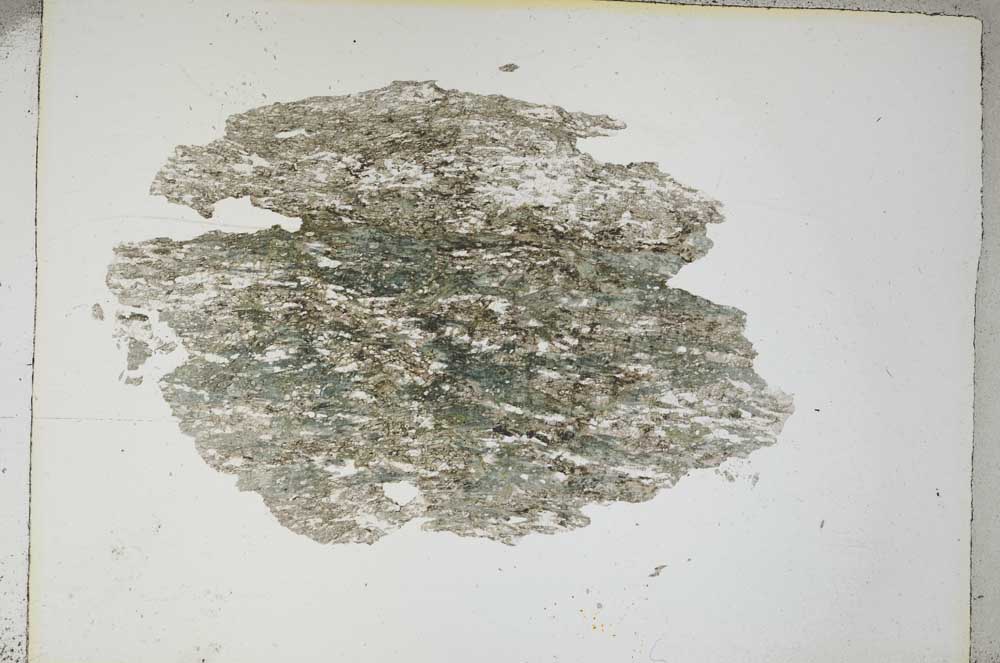 Plane Polarized, S4379