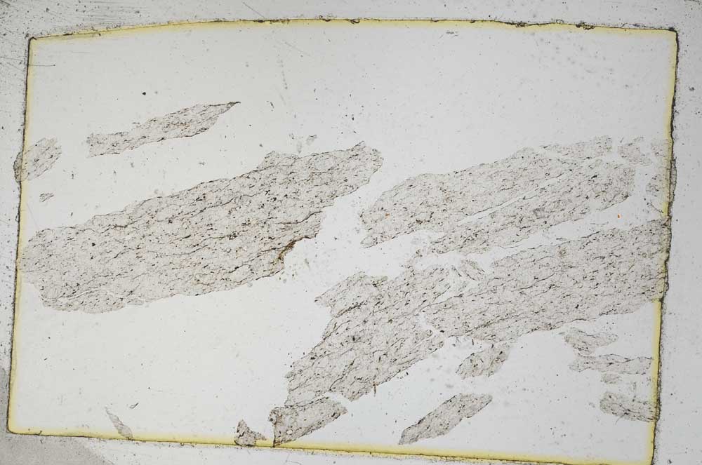 Plane Polarized, S4403