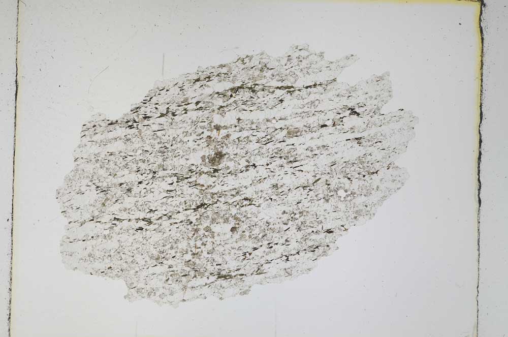 Plane Polarized, S4435