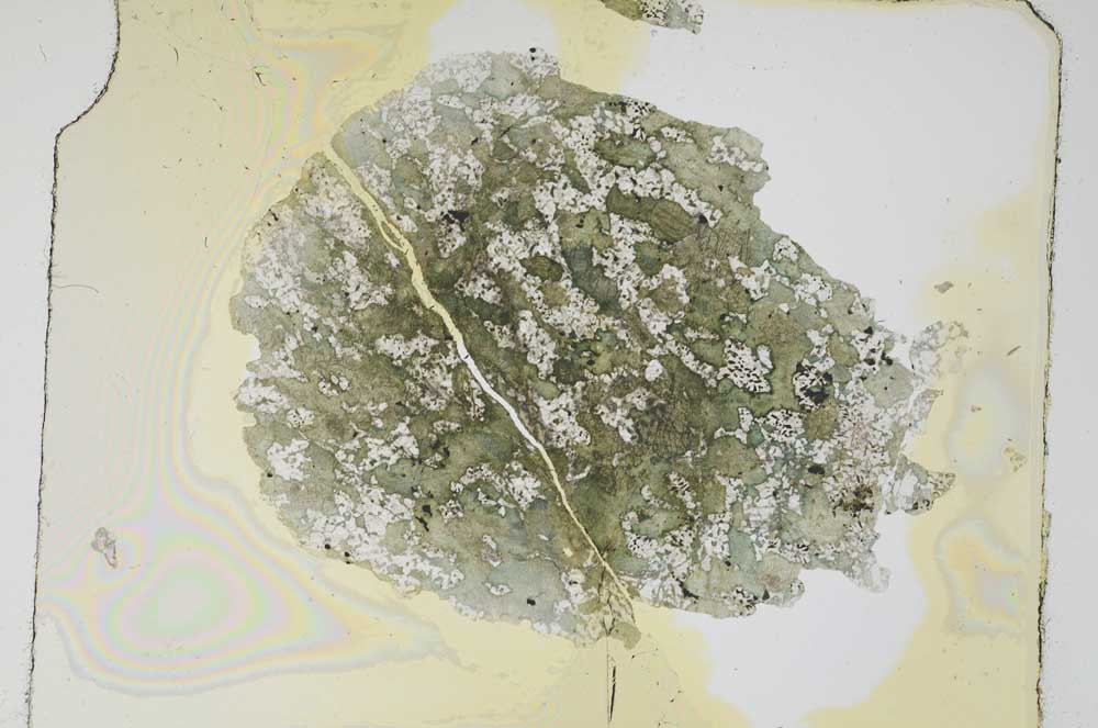 Plane Polarized, S4465