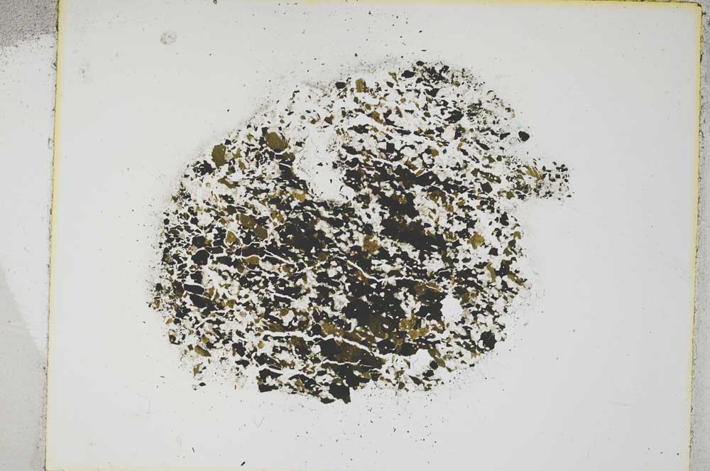 Plane Polarized, S4476