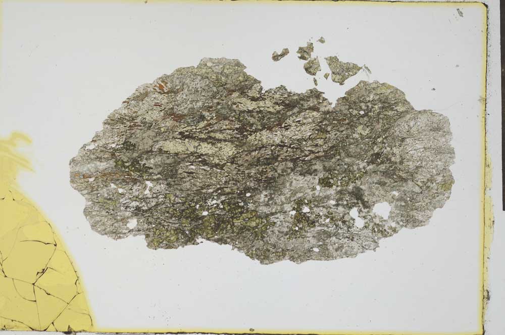 Plane Polarized, S4481