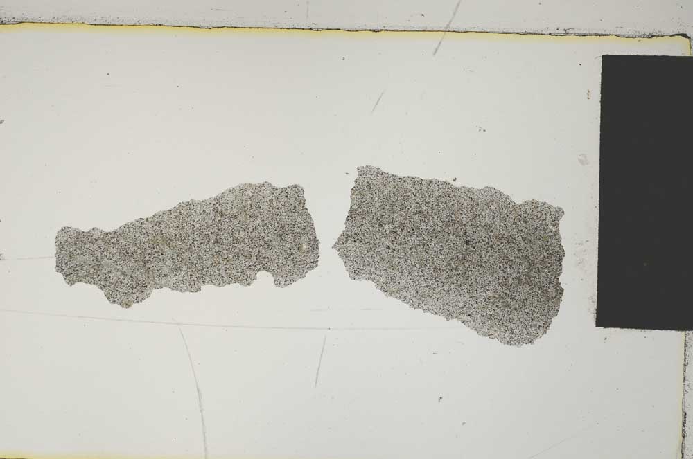 Plane Polarized, S4490