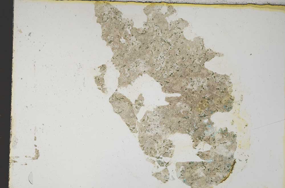 Plane Polarized, S4505/b