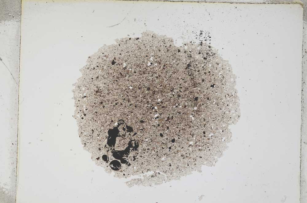 Plane Polarized, S4521