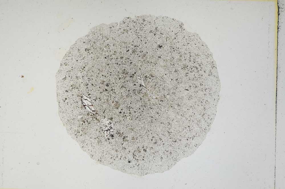 Plane Polarized, S4522