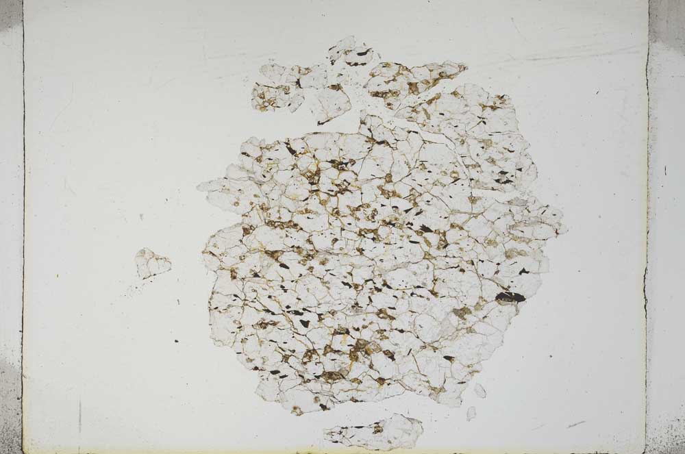 Plane Polarized, S4534
