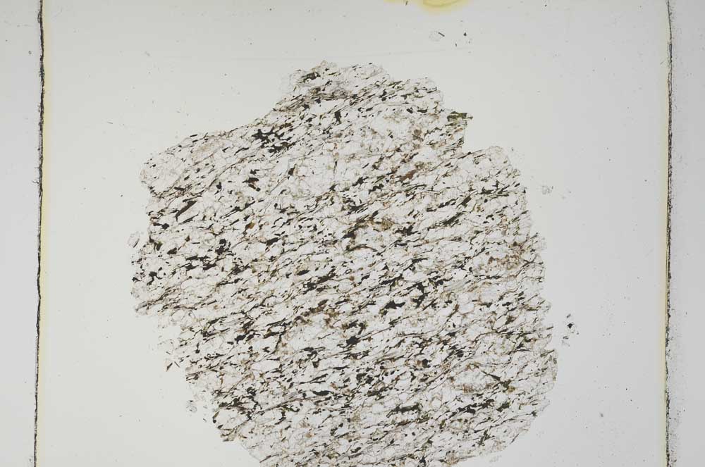 Plane Polarized, S4536