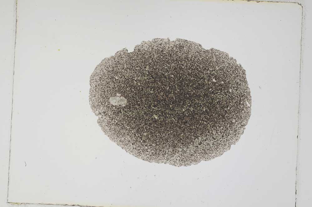 Plane Polarized, S4593