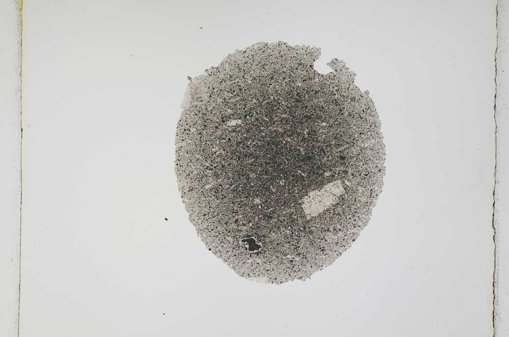 Plane Polarized, S4596