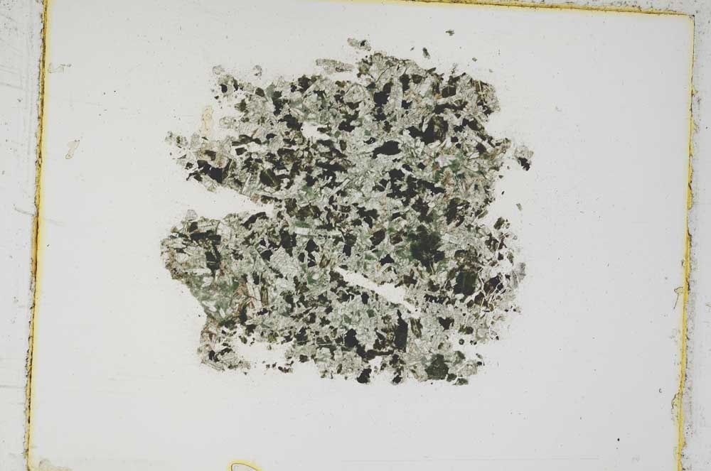 Plane Polarized, S4604