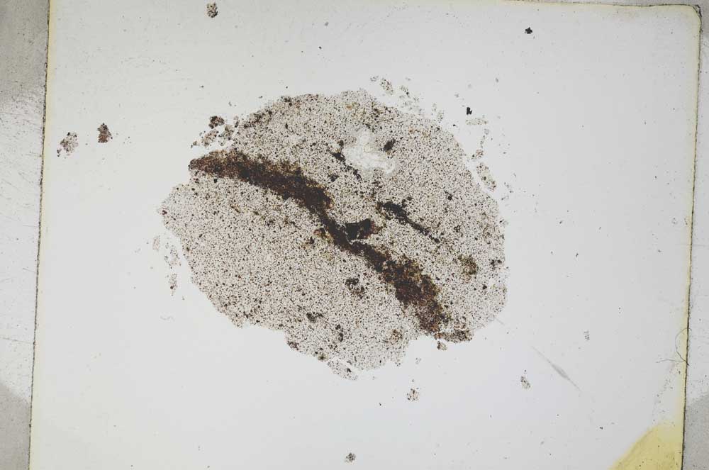 Plane Polarized, S4613