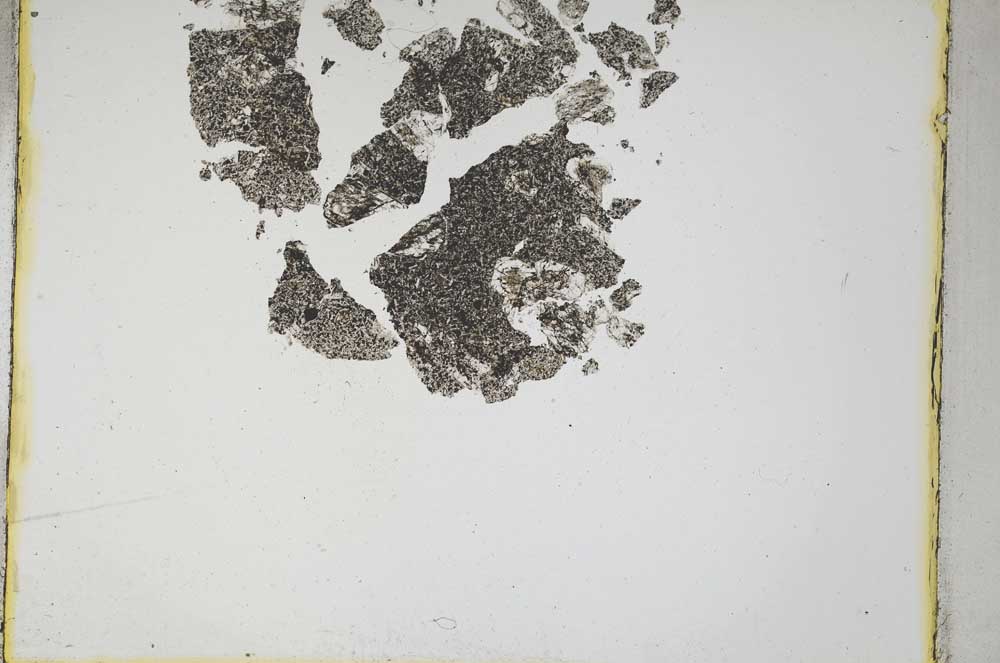 Plane Polarized, S4616