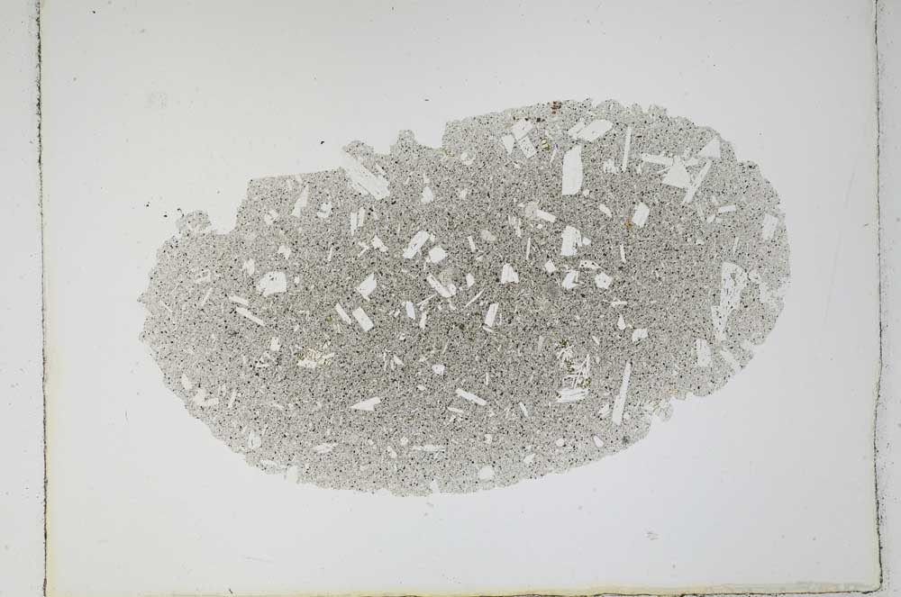 Plane Polarized, S4619