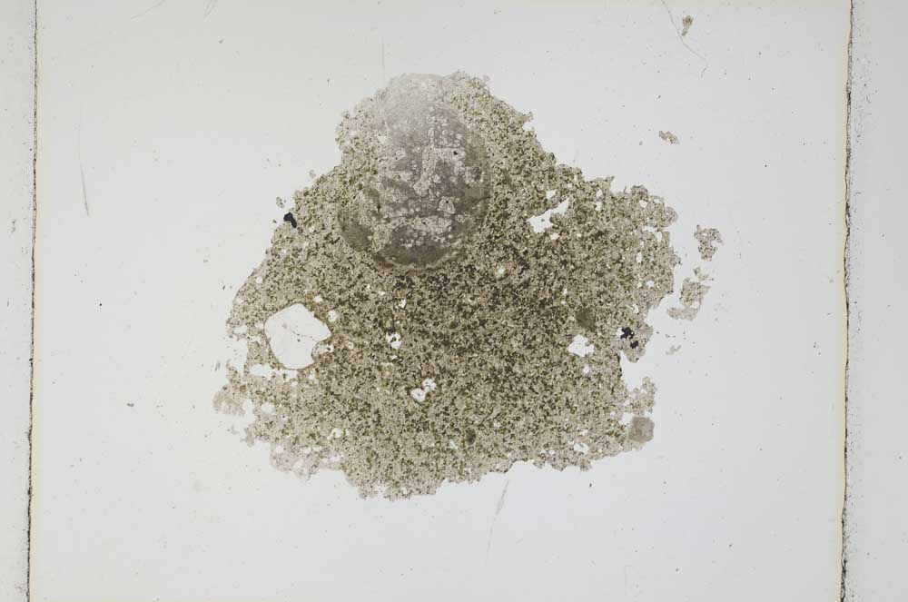 Plane Polarized, S4639