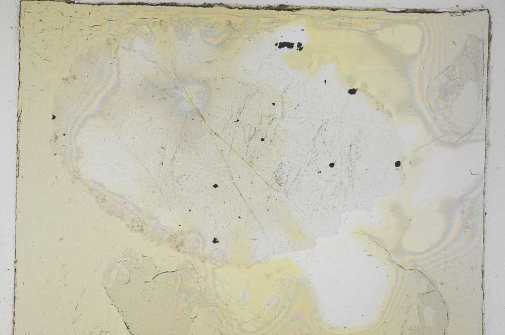 Plane Polarized, S4644